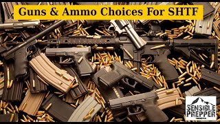 Guns &amp; Ammo Choices for SHTF
