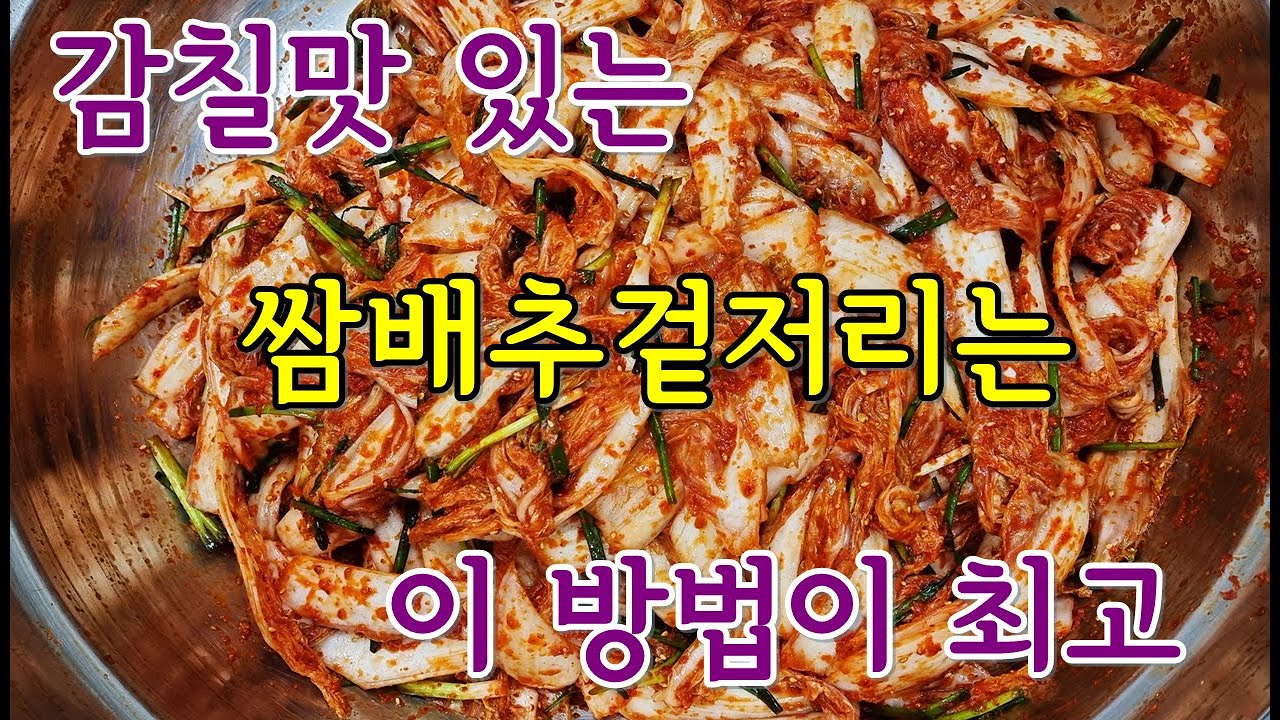 💜쌈배추겉절이💜감칠맛이 입안에 가득! 알배기 겉저리를 맛보셨나요? 황금레시피와 손질법까지