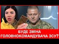 Це вперше показало! Ольга Стогнушенко про Залужного,ракетні обстріли,чи зможе РФ заморозити війну?