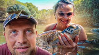 видео: Купание с морскими черепахами. Африканский зоопарк с чудными животными. Рыбный рынок и ужин с рыбой. картинка: Купание с морскими черепахами. Африканский зоопарк с чудными животными. Рыбный рынок и ужин с рыбой.