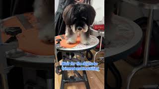 No More “Ouch” – Smooth Cuts Even on Mats