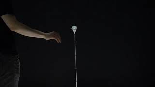 Planula - Installation / 2014