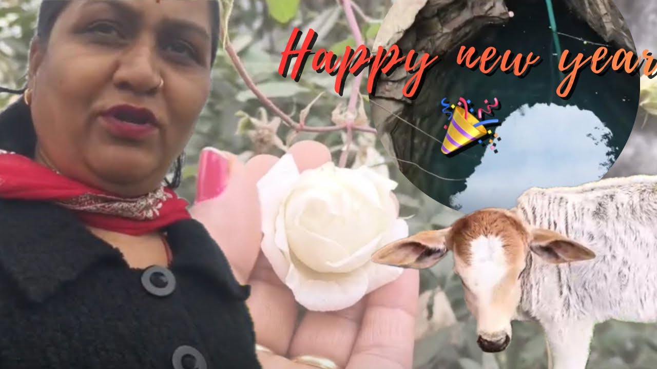 Itna Sundar Phool 🥀 | Kota Series | Mahi Rana