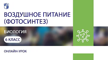 Биология. Воздушное питание (фотосинтез)