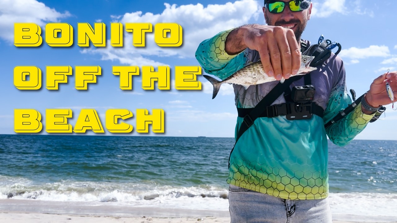 Jones Beach NY Surf Fishing: Catching Atlantic Bonito on Jigs