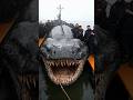 Animals that might have be gone by 2027 part 3 #animals #ytshorts #viral #pets #wildlife