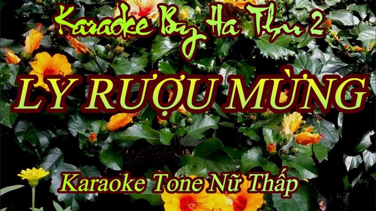 Karaoke Ly Rượu Mừng Tone Nữ Thấp (chậm)| Karaoke By Ha Thu 2