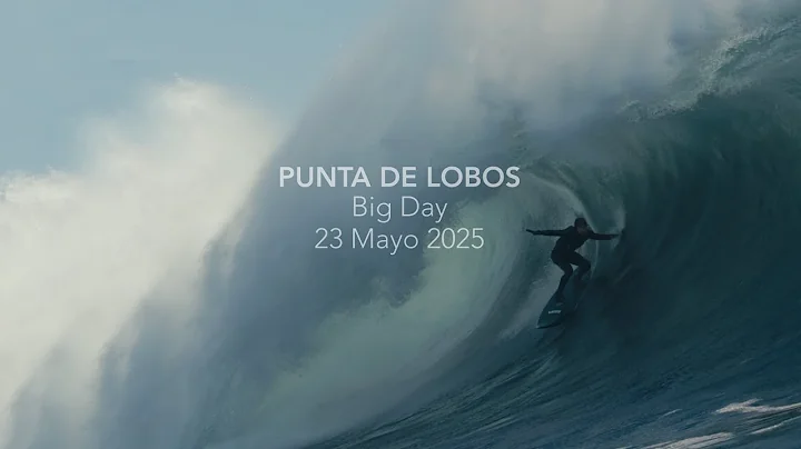PUNTA DE LOBOS BIG DAY 23 MAYO 2025 | CHILE