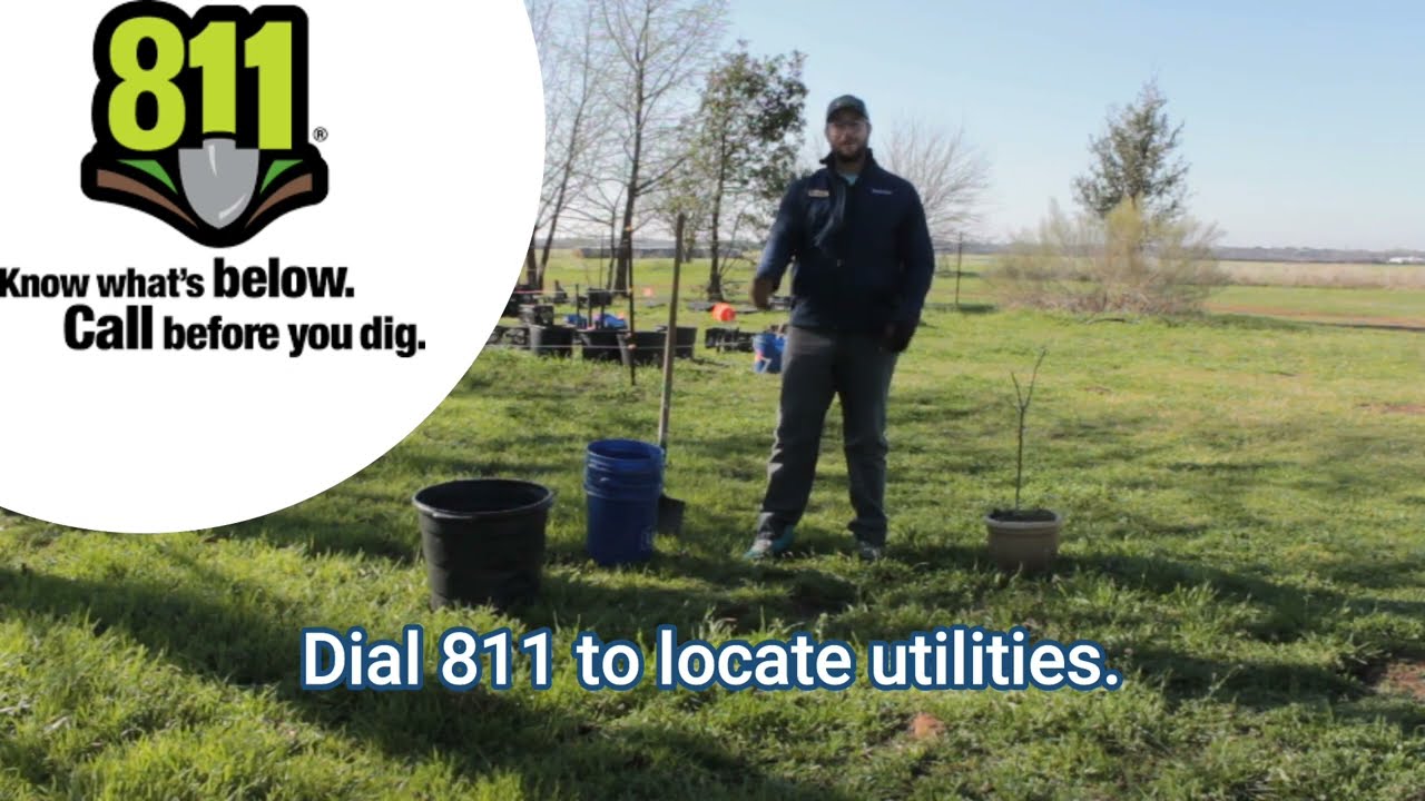 How to Plant a Tree: Quick Version