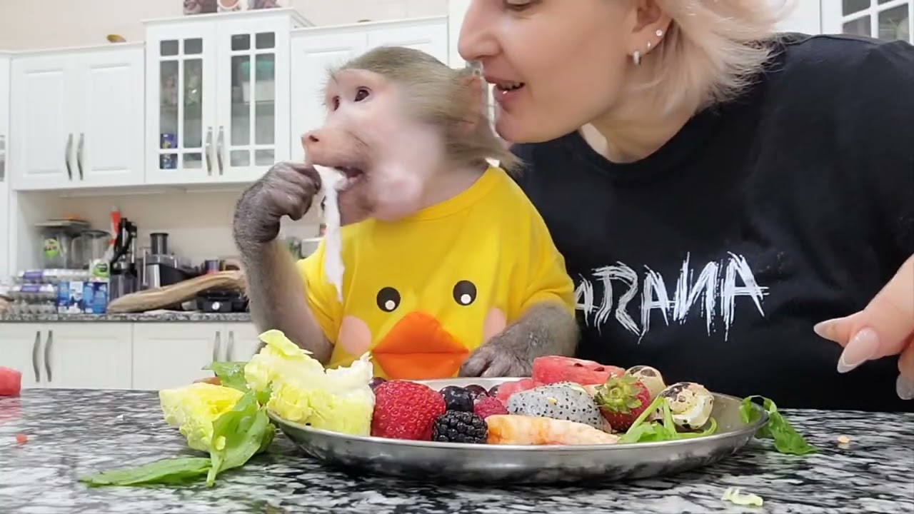 Кушаем с гамадрилками (Луна)😋