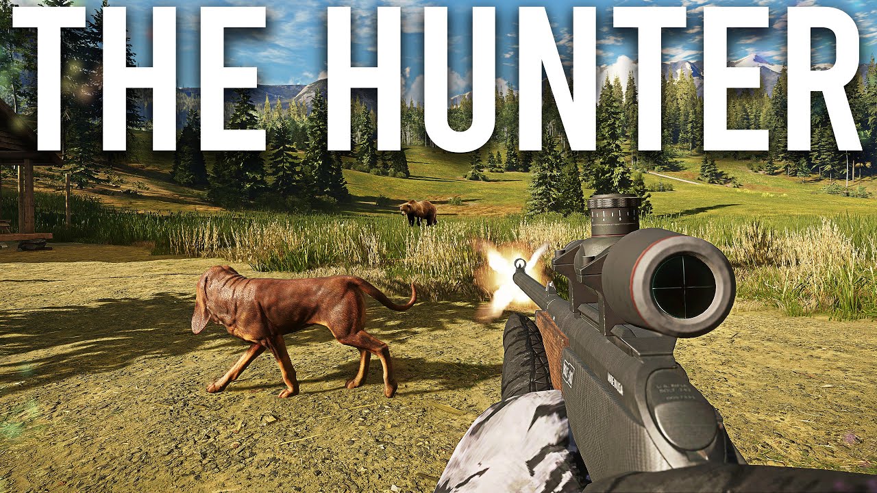 Pic hunter videos