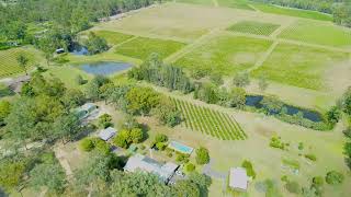 McCaffrey's Estate - vineyard and cottages in the Hunter Valley