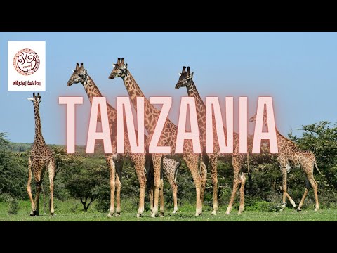 Wideo: 10 Niesamowitych Zdjęć Z Safari W Tanzanii W Afryce