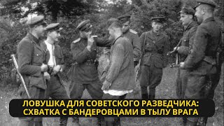 Охотник за офицерами: Как советский разведчик попал в ловушку бандеровцев