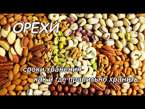 Как и где правильно хранить орехи в домашних условиях