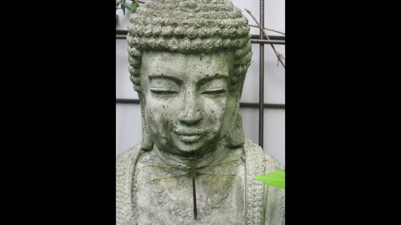 Mindful Forgiveness Meditation