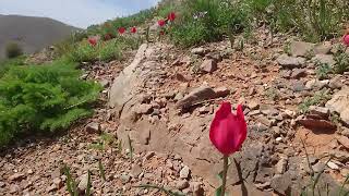 Ayrilik Kolay Deği̇l. Onu Gel Sen Bana Sor