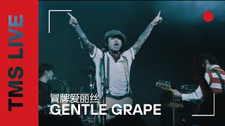 Gentle Grape  - 冒牌爱丽丝 (Live at MAO Livehouse Shanghai)