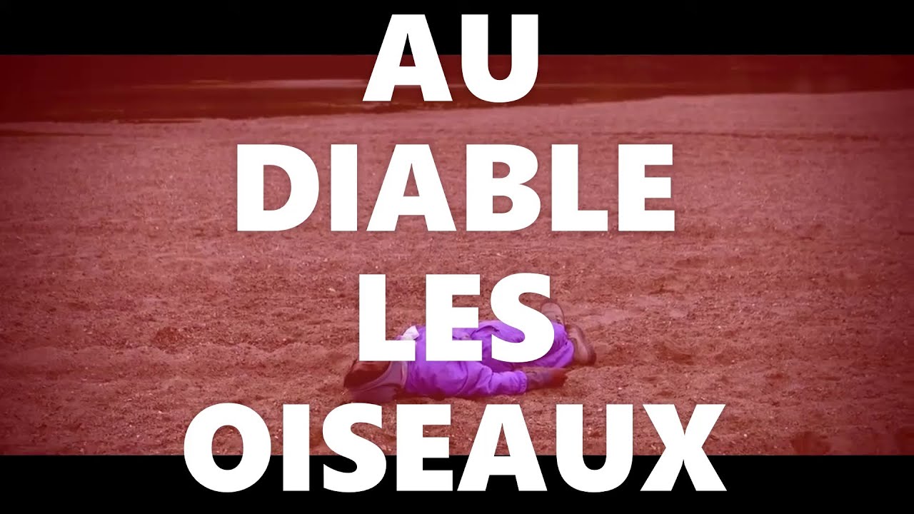 Au diable les oiseaux (feat Sacha Distille)