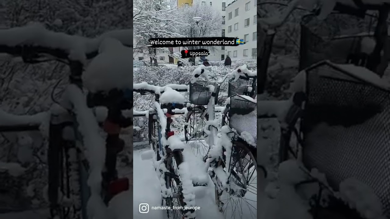 Winter's in Sweden 🇸🇪