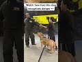 This dog recognized trouble and reacted accordingly! Incredible speed! #shorts #dog #dogtraining