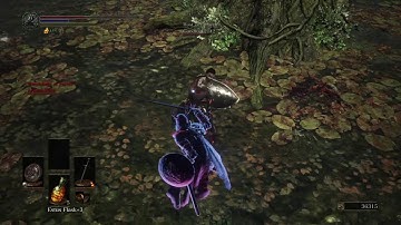 They Never Seem To Learn