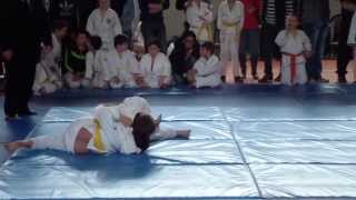 Andrei I Css 2 Anaconda Style