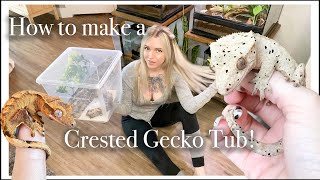 How to Set Up a Crested Gecko Tub + How I Incubate My Babies!
