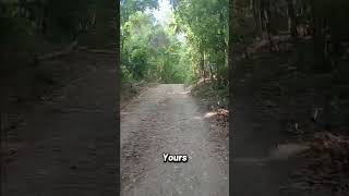 DISCLAIMER: No Copyright Infringement intended. The audio and music belongs to their rightful ow