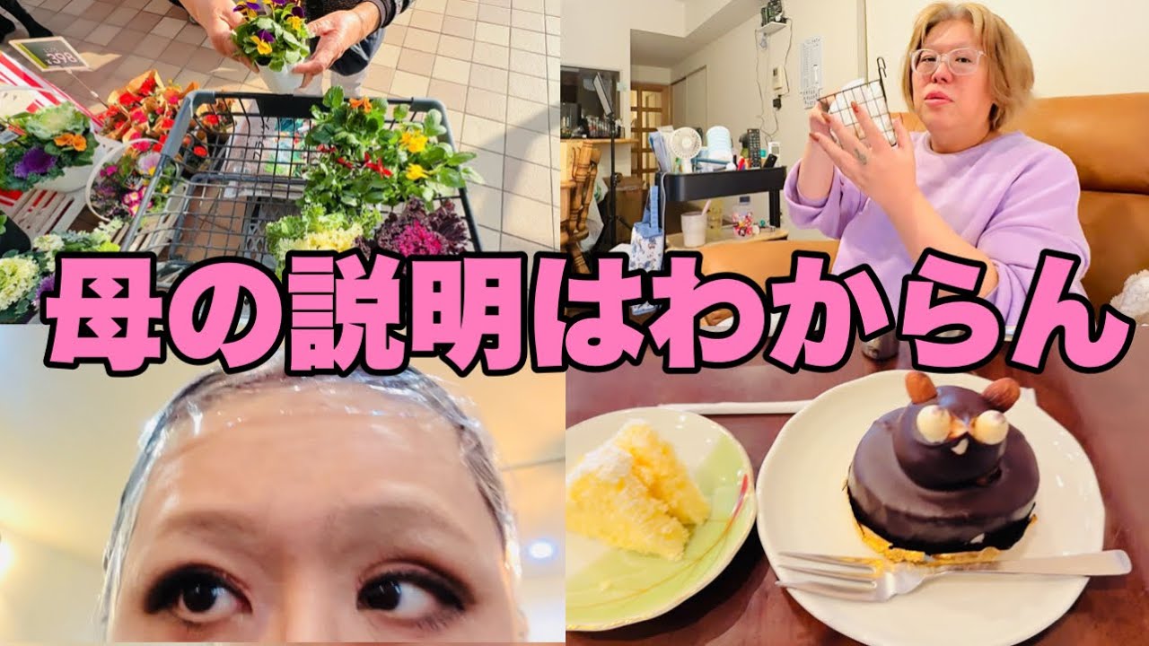 【Vlog】年末に向けて気持ち上げていこう！