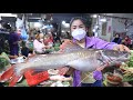 Market show, Have you ever seen this river fish at your place? / Fish soup with banana flower recipe