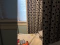 First loop #like #memes #comment #funny #loop