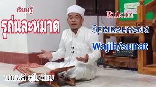 เรียนรู้​(รูก่นละหมาด)​ บาบอลี​ ลูโบะดีแย​ rukun​ sembahyang​ wajib​+sunat​