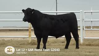 Lot 12, G A R Home Town G2640