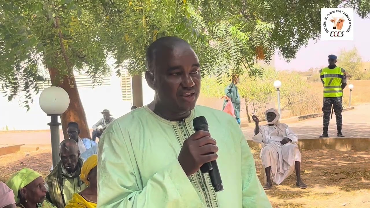 Mabouba, il fallait le dire ! Yapp biy yakkou :ce qu’on peut en faire, Pourquoi personne n’en parle?