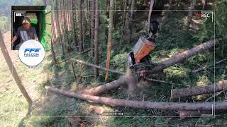 FROM THE CAB: Steep-Slope Logging with Winch Assist Tether | Shawn Hadaller Logging - Washington USA
