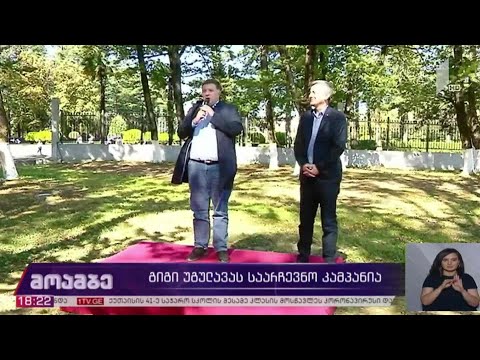 #არჩევნები2020 გიგი უგულავას საარჩევნო კამპანია
