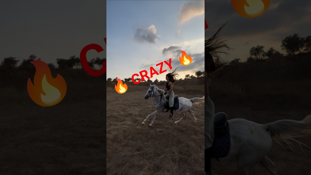 Arabic horse riding || Crazy horse rider 