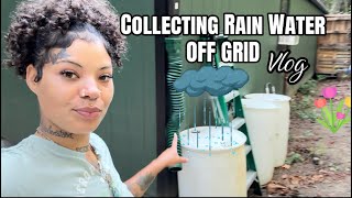 COLLECTING RAIN WATER ON OUR HOMESTEAD