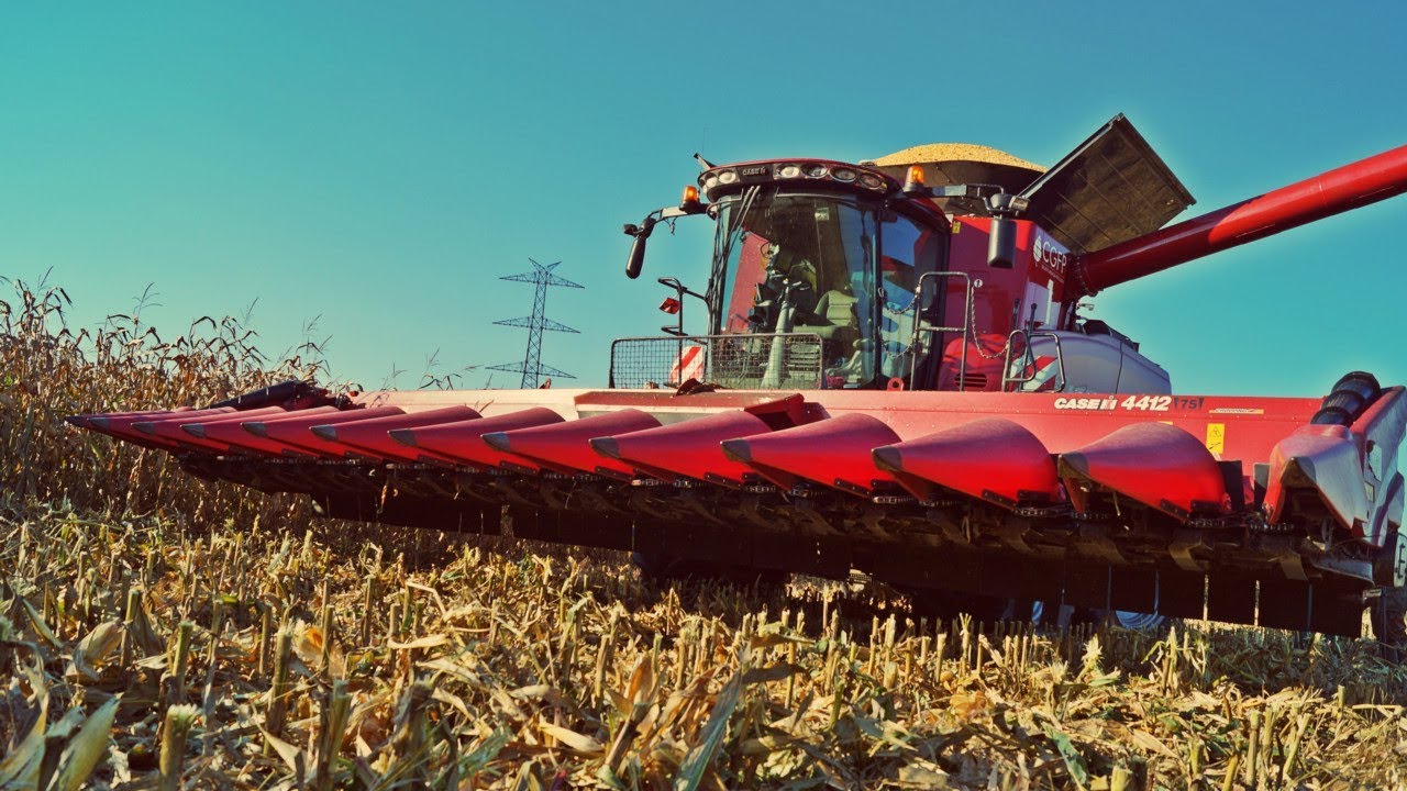 maxresdefault Kombajny Case IH 8230 Axial Flow w mokrej kukurydzy (VIDEO)