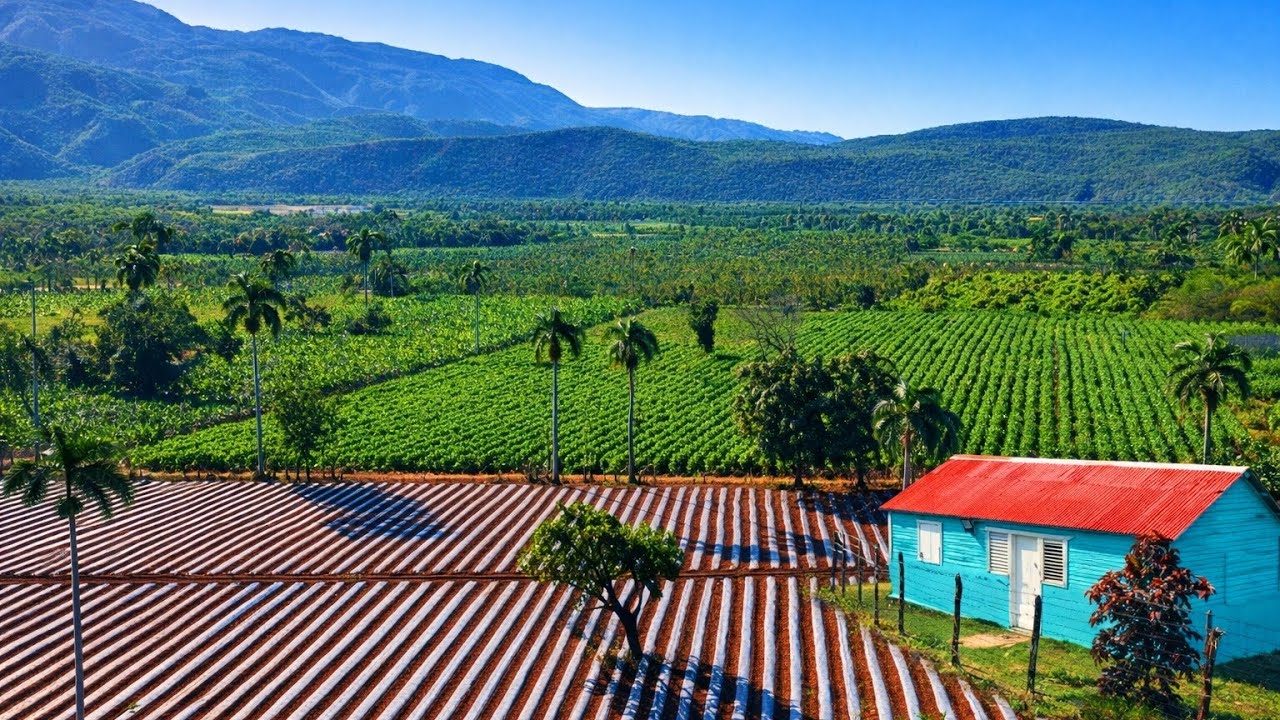 El campo mejor guardado del sur dominicano | Aguas frías, montañas y naturaleza pura