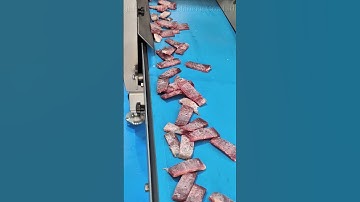 Meat Cutting & Slicing Machine | Commercial Meat Processing Equipment