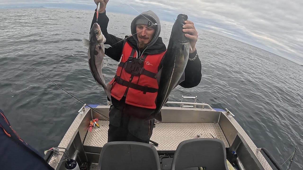 ОГО!!! Аж фрікціон спрацював. Сайда і пікша клюють по дві, а часом і по три. Рибалка в Норвегії