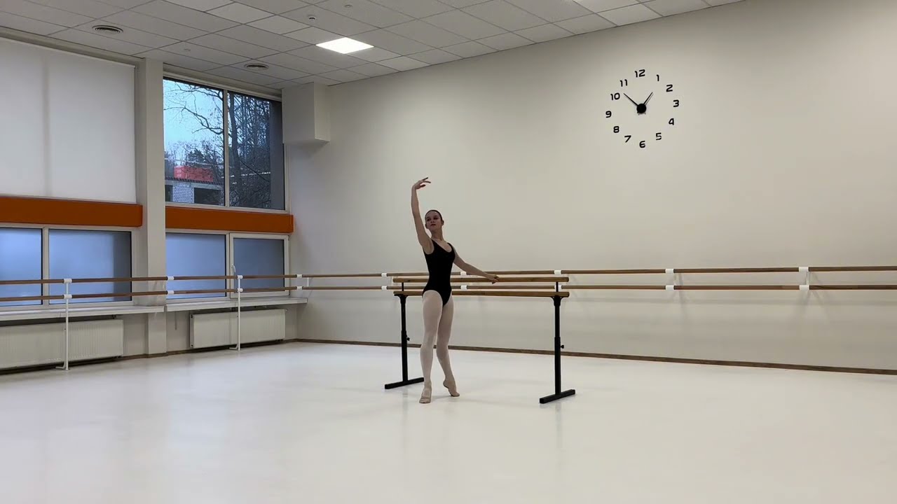 Urtė Gudavičiūtė| Summer intensive audition