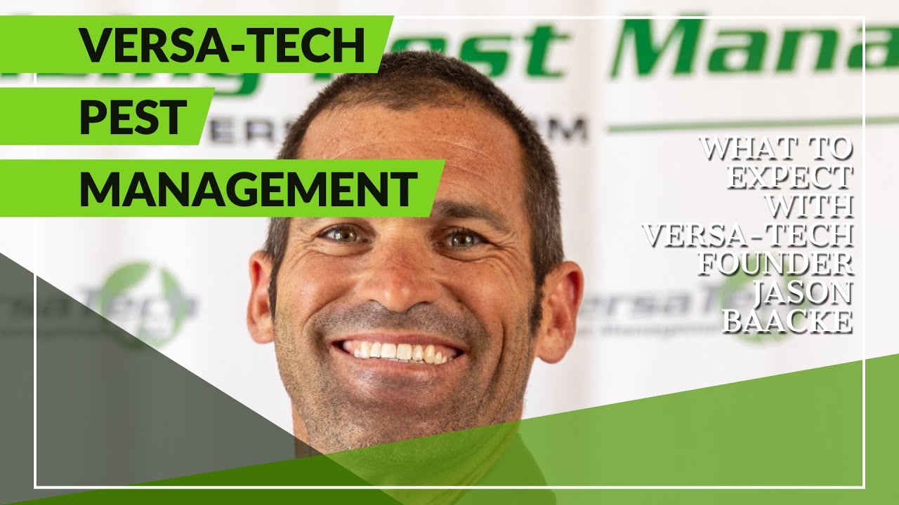 Versa-Tech® June Pest Activity | SoCal Residential & Commercial Pest Control