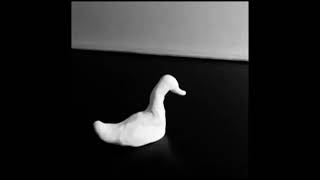 Swan Wake (an old stop motion test)