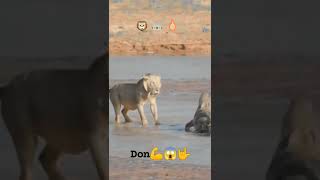 Akela Samajh Ke Bhidna Chahie Ustad Bhai Ko Pata Chal Gai Ghar Se Utha Lega2022 share 