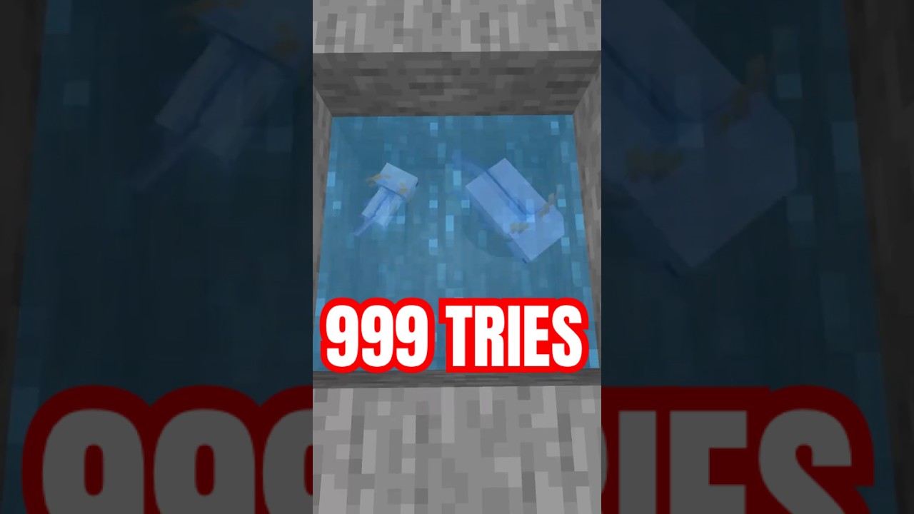 I spent 59 days finding Minecraft's rarest mob #minecraft #foreverworld #twitch