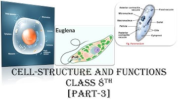 Cell - Structure And Functions [Part-3] #Science #Class8 #Conceptual #Education #learning #Biology