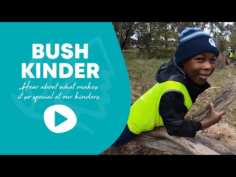Y Kinders - Bush Kinder